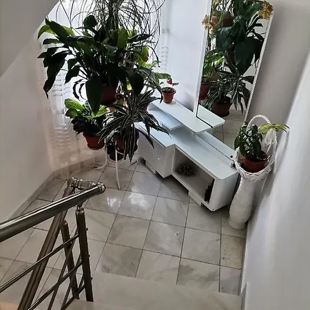 Konomaevi ゲストハウス