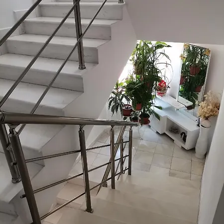 Konomaevi ソゾポル